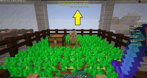 Wheat is also fully grown. . Hypixel skyblock reddit